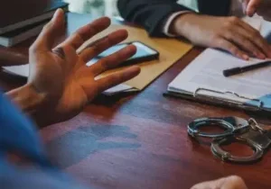 11.072 Writ of Habeas Corpus